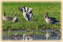 19.7.: Von morgens bis abends in der Natur
