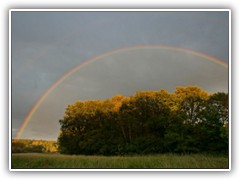 29.9.: Am spten Nachmittag zeigte sich in der Sutschke nach einem leichten Regenschauer dieser imposante Regenbogen.