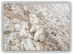 Herunter flieendes Regenwasser transportierte Sand mit und erzeugte dieses erstaunliche Sandgebilde.