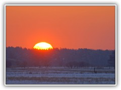 23.3.: Bei -10 C wagt sich die Sonne ber die Wipfel der Bume am Ptzer Plan.