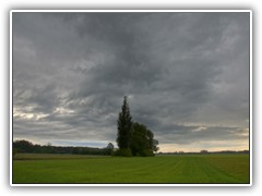 28.5.: Nach dem Gewitter auf dem Ptzer Plan.