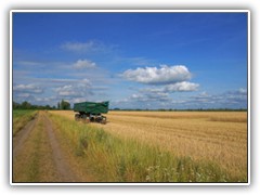 29.7.: Die Ernte der Getreidefelder hat begonnen, ...