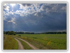 13.8.: Am spten Nachmittag zog ein Gewitter mit drohenden Wolken auf.