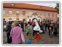 22.9.: Burgfest in Storkow.