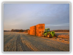 27.11.: Die Strohballen vor dem Abtransport.