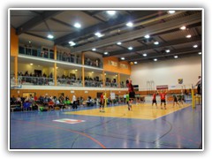 29.11.: Volleyball 2. Bundesliga: Netzhoppers-Frankfurt. Weitere Fotos im Volleyball-Ordner vom 29.11. 