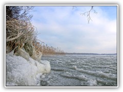 25.1.: Das Ufer war durch den frostigen Ostwind und hoch spritzendes Wasser der Wellen teilweise vereist. Durch die groen Temperaturunterschiede zwischen Wasser und Luft dampfte der See leicht.