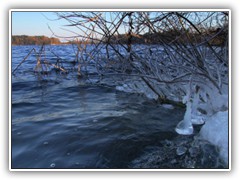 25.1.: Der Ptzer Tonsee war noch eisfrei. An den Zweigen entstanden durch hoch spritzendes Wasser der Wellen eisige Gebilde.