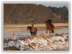 25.1.: Zwei Reiter unternahmen einen Ausflug ber den Ptzer Plan. Weitere Fotos im Winter-Ordner vom 25.1. 