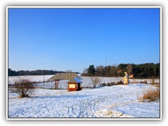 26.1.: Vormittags am nchsten Tag. Der Weinhang am Mhlenberg.