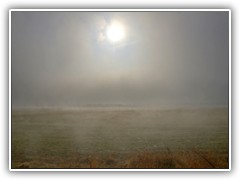 7.3.: Am spten Vormittag lste die schon krftige Sonne den restlichen in Schwaden ber den Boden ziehenden Nebel auf.