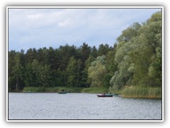 21.6.: Auf dem Ptzer Tonsee war heute Pokalangeln.