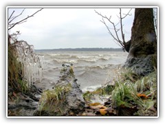 1.12.: Heftiger Ostwind und Temperaturen unter dem Gefrierpunkt lieen die spritzenden Wellen auf dem Ufer gefrieren.