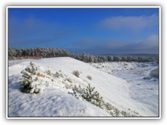 30.12.: Schlielich setzte sich die Sonne durch und die Natur zeigte sich von ihrer glnzenden Seite. Weitere Fotos im Winter-Ordner vom 29. & 30.12.