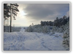 14-12-29_05433
