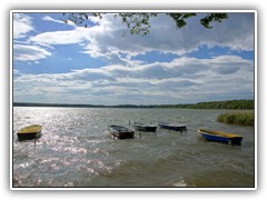 Bei strmischem Wetter schaukelten die Khne auf dem Ptzer Vordersee krftig hin und her.