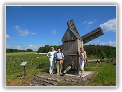 Am Fue des Weinbergs steht eine Nachbildung unserer alten Bockwindmhle.