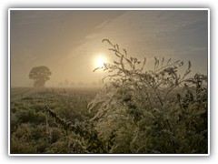 1.10.: Mit hher steigender Sonne taute die eisige Umhllung sehr schnell. Weitere Fotos im Nebel-Ordner vom 1.10.