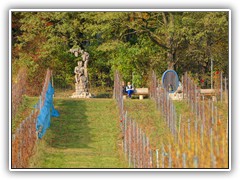 1.11.: Blick ber das Weinanbaugebiet am Mhlenberg. Weitere Fotos im Herbst-Ordner vom 01.11.