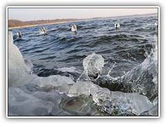 Hier ist auf der rechten Seite das hoch spritzende Wasser zu sehen.