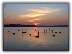 3.1.: Sonnenuntergang auf der gegenber liegenden Seite des Sees. Die Kahnanlegestellen sind verwaist, aber dafr tummelten sich dort Enten. Weitere Fotos im Eis-Ordner vom 3.1.