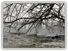 4.1.: Wie Glocken hingen diese Eisgebilde ber dem Wasser am Strauch.