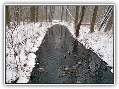 6.1.: An einer kleinen Brcke halten Enten das Wasser offen.