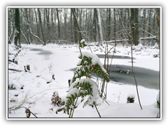 6.1.: Heute Nacht hatte es geschneit.