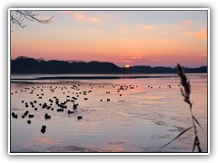 Hinter den Bumen des gegenber liegenden Ufers verabschiedete sich die Sonne zur Nachtruhe.