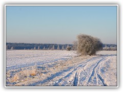 19.1.: Blick ber den winterlichen Ptzer Plan.