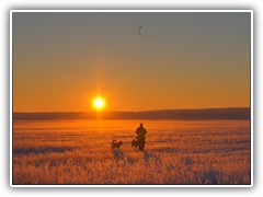 22.1.: Zwei Huskies wurden zum Sonnenaufgang bei -14 C auf dem Ptzer Plan ausgefhrt. Weitere Fotos im Wintertag-Ordner vom 22.1.