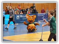 23.1.: Das Maskottchen Netzino sorgte bei den Besuchern fr Stimmung. Weitere Fotos im Volleyball-Ordner vom 23.1.