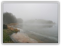 25.1.: Ein Reiher flog am Ufer des noch zugefrorenen Ptzer Vordersees entlang.