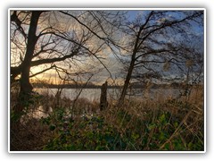 Der Klein Bestener See ist nicht zug�nglich, entweder durch das bewachsene Ufer oder Bebauung.