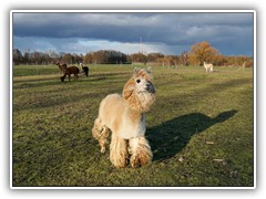 Komme soeben vom Fris�r.