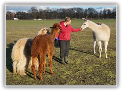 Jeder m�chte etwas abhaben.