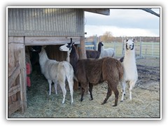 Auf geht's nach Hause.