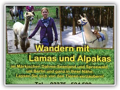 Der Kontakt zum M�rkischen Lamahof.