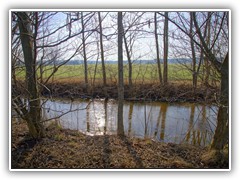 Die Entw�sserungsgr�ben trugen eine d�nne Eisschicht nach einer frostigen Nacht.