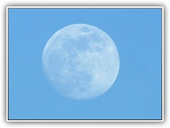 20.4.: Der Mond heran gezoomt.