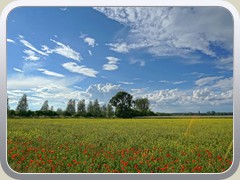 14.6.: Auf der gegenber liegenden Seite war viel blauer Himmel zu sehen.