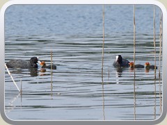 17-05-01_01082a