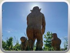 11.6.: Auch die nebenan im Wald der Generationen stehenden 'Bestwaner' kamen heute ins Schwitzen.