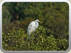 17-08-28_00852a