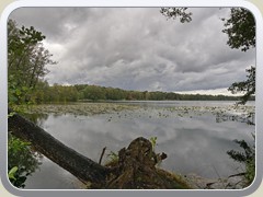 Blick ber den Todnitzsee.