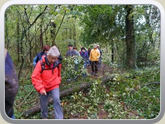 Das erste Hindernis lag quer �ber dem 'R�gendamm'.