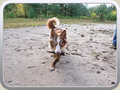 Spielst du mit mir?