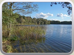 17-10-08_06284a
