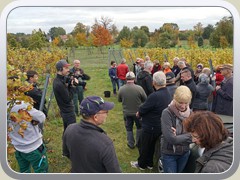 17-10-14_06424a
