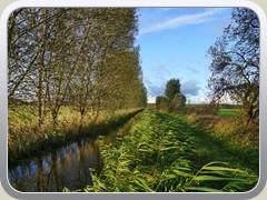 Ein Entw�sserungsgraben.